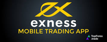 Ensuring Security on the Secure Exness Website